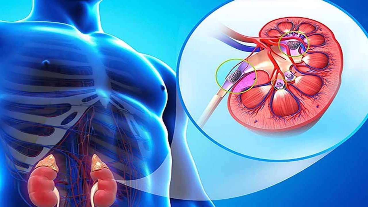 Điều trị Viêm dạ dày do vi khuẩn HP , viêm đại tràng cấp và mãn tính tại Trung Tâm Mandala Care