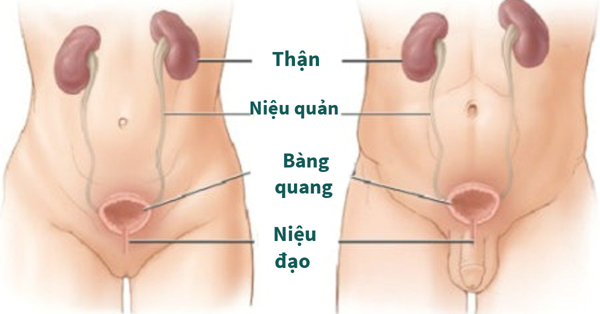 điều trị viêm niệu đạo nam nữa tại trung tâm chăm sóc sức khỏe Mandala Care